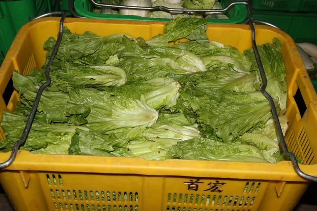 探寻绿色商机——为何选择蔬菜配送行业？