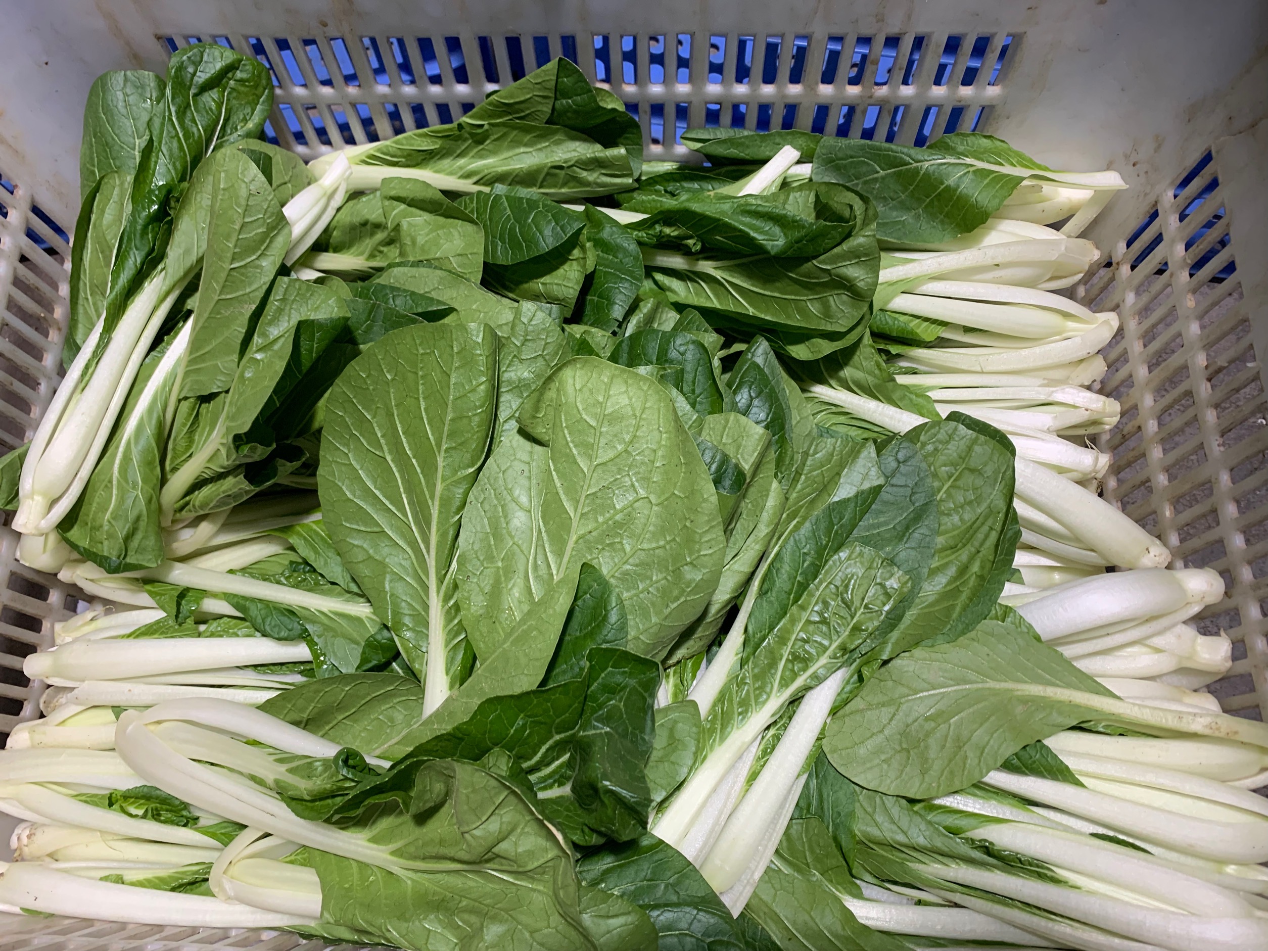 <b>配送食材中心给餐饮行业带来的便利吗，让餐饮行业更加轻松</b>