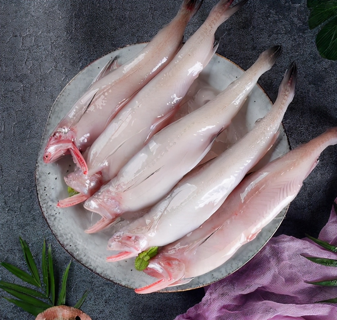 遇到这4种野生海鱼别错过，目前无法人工养殖，纯野生价格还不贵