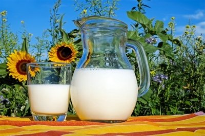 东莞新鲜食材配送：脱脂牛奶真的能帮助减肥吗？