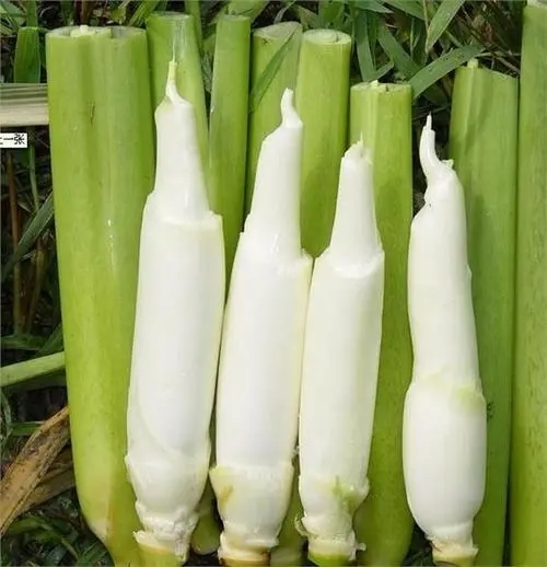 长安配送水果蔬菜